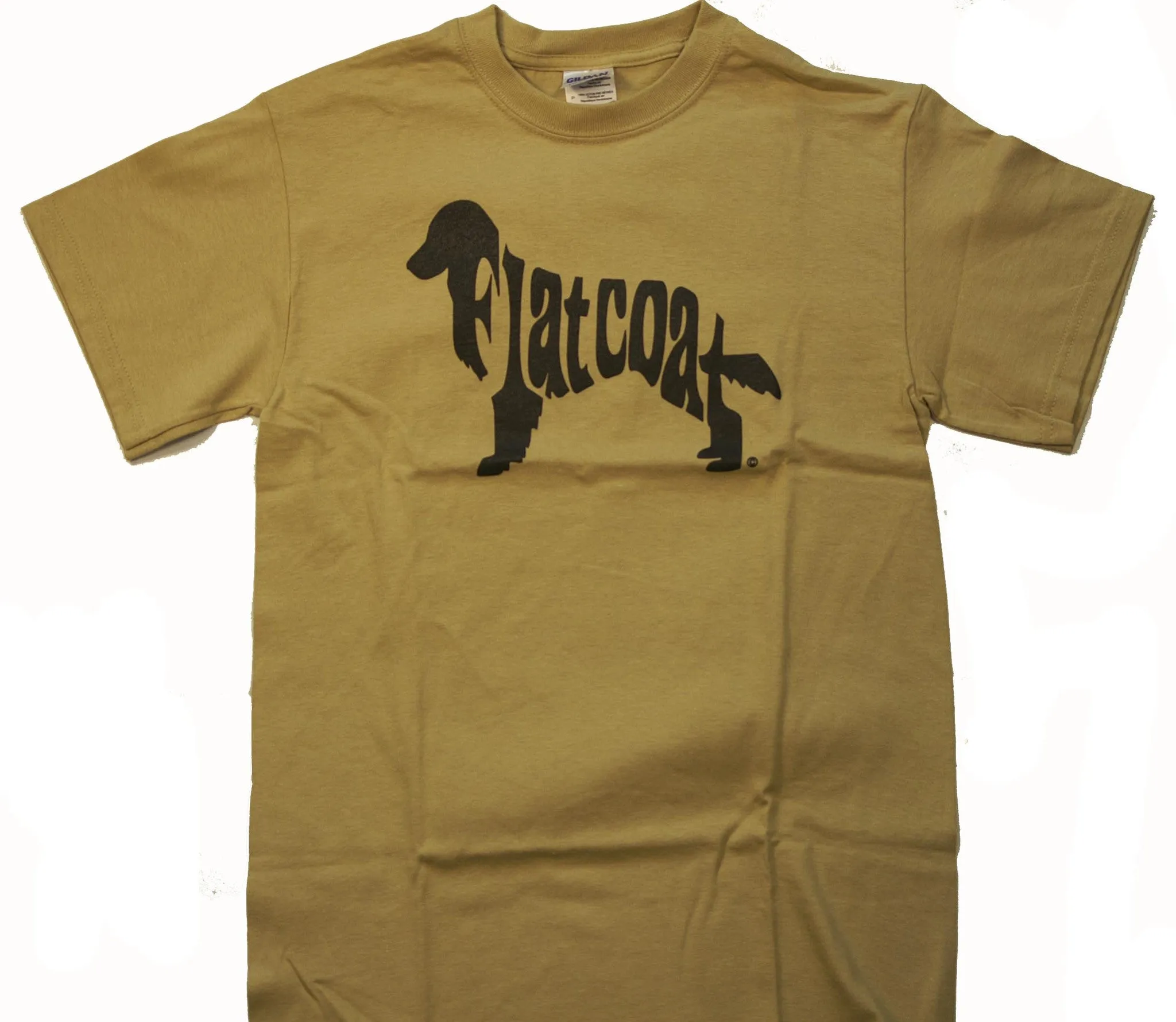 Flat-Coated Retriever