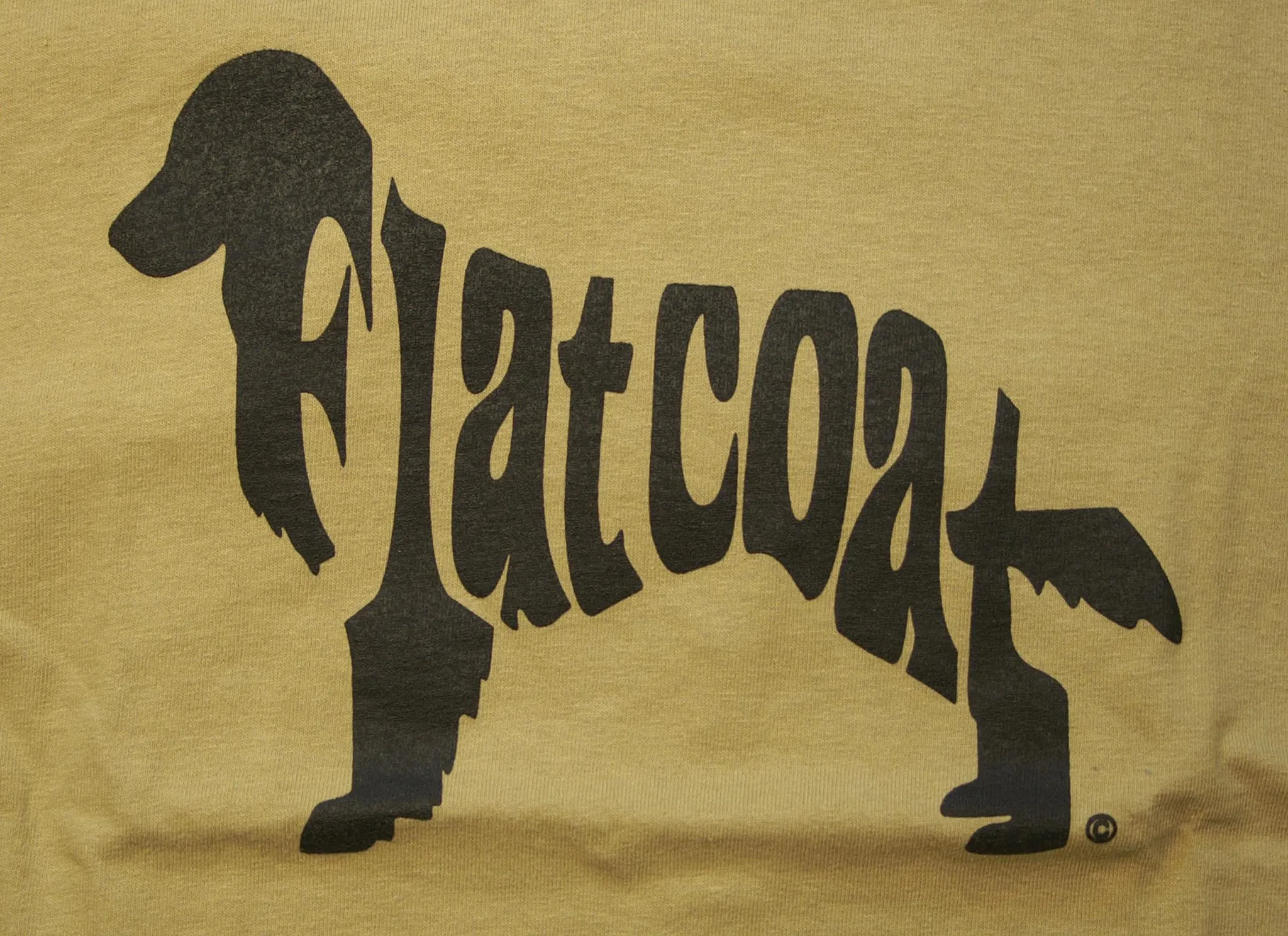 Flat-Coated Retriever