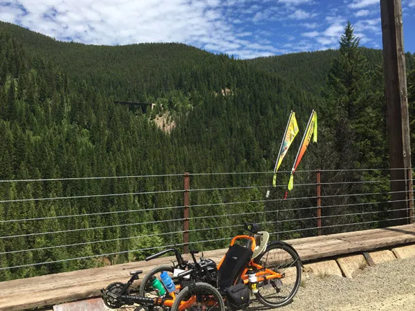 T-Cycle Flag Mount