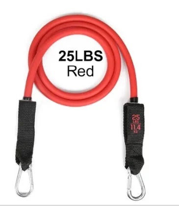 Tube Bands
